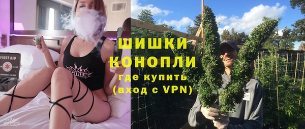 индика Алзамай