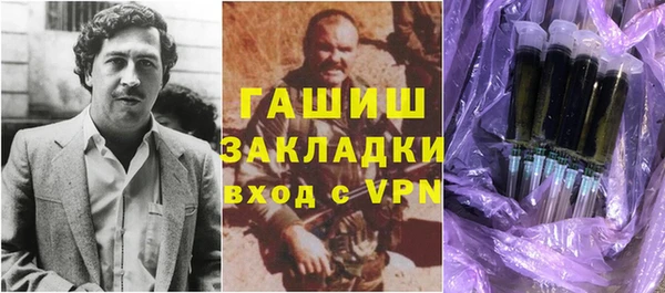 индика Алзамай