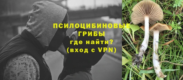 амф Алексеевка